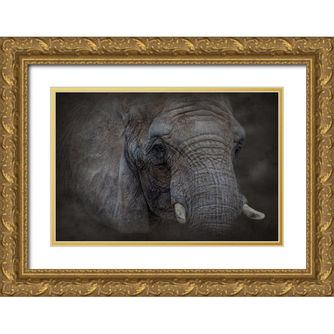 Textured Gold Ornate Wood Framed Art Print with Double Matting by Parker, Kelley