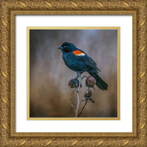 Bringer of Spring Gold Ornate Wood Framed Art Print with Double Matting by Parker, Kelley