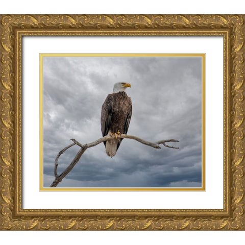 Above It All Gold Ornate Wood Framed Art Print with Double Matting by Parker, Kelley