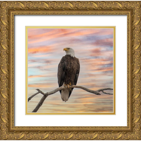 Sky Hunter Gold Ornate Wood Framed Art Print with Double Matting by Parker, Kelley