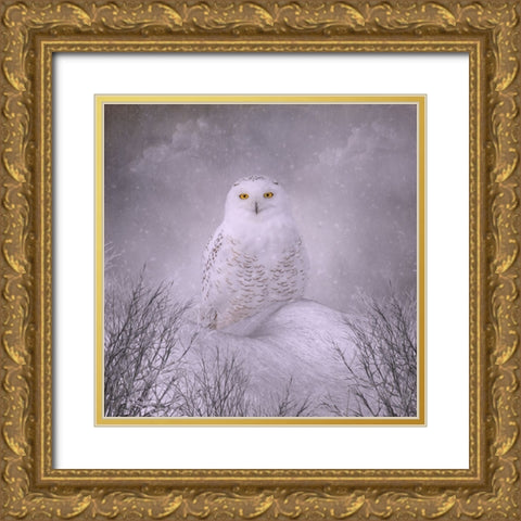 Winter Wonderland Gold Ornate Wood Framed Art Print with Double Matting by Parker, Kelley