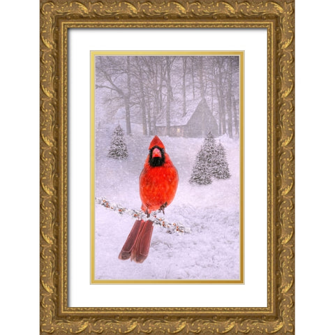 Cardinal Peace Gold Ornate Wood Framed Art Print with Double Matting by Parker, Kelley