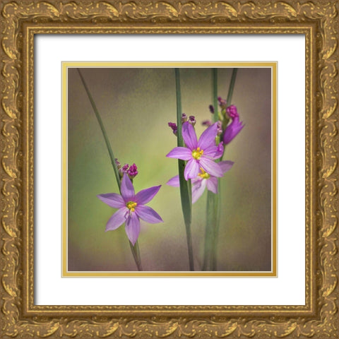 Blue-Eyed Grass Ochoco Gold Ornate Wood Framed Art Print with Double Matting by McFerrin, Larry