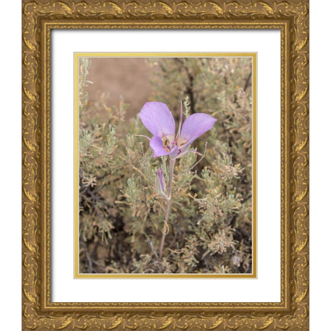Mariposa Lily Gold Ornate Wood Framed Art Print with Double Matting by McFerrin, Larry