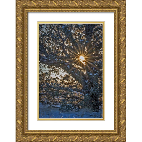 New Years Steens Mountain Sunrise Gold Ornate Wood Framed Art Print with Double Matting by McFerrin, Larry