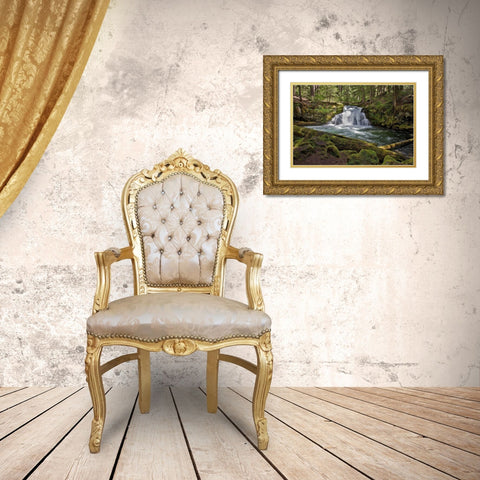 Whitehorse Falls Gold Ornate Wood Framed Art Print with Double Matting by McFerrin, Larry