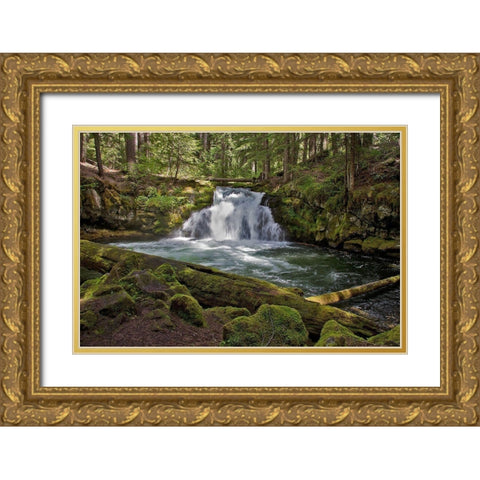 Whitehorse Falls Gold Ornate Wood Framed Art Print with Double Matting by McFerrin, Larry
