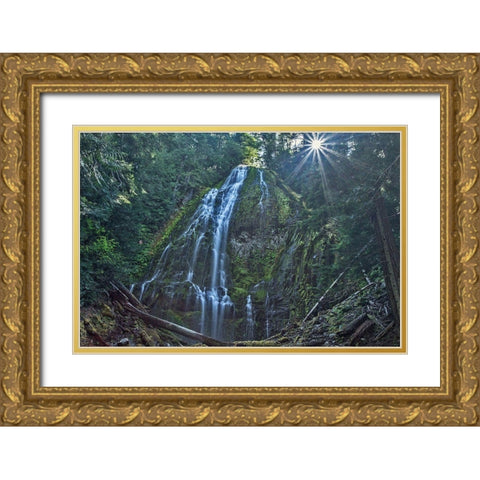 Lower Proxy Falls Gold Ornate Wood Framed Art Print with Double Matting by McFerrin, Larry