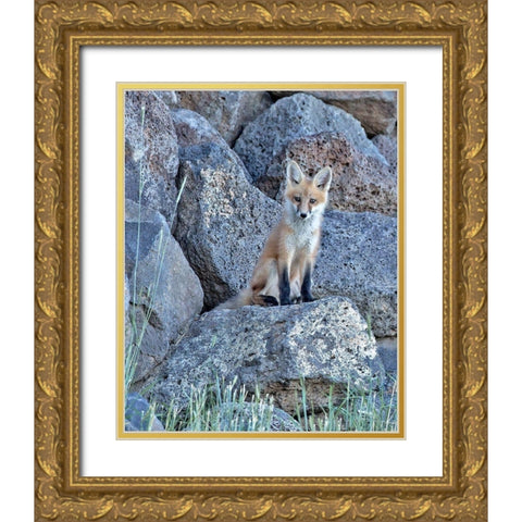 Red Fox Kit II Gold Ornate Wood Framed Art Print with Double Matting by McFerrin, Larry
