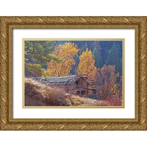 North Fork Cabin Gold Ornate Wood Framed Art Print with Double Matting by McFerrin, Larry