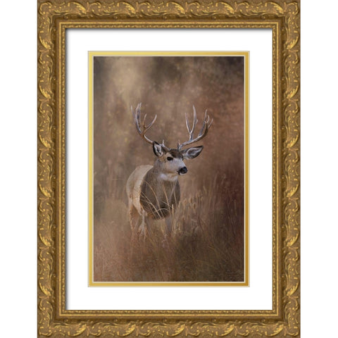 Muley - Malheur Gold Ornate Wood Framed Art Print with Double Matting by McFerrin, Larry