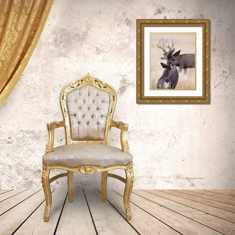 Dark Mule Deer Doe Gold Ornate Wood Framed Art Print with Double Matting by McFerrin, Larry