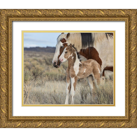 Lady Braveheart and Filly Gold Ornate Wood Framed Art Print with Double Matting by McFerrin, Larry