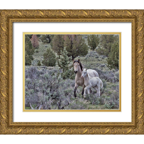 Palomino Mare and Colt Gold Ornate Wood Framed Art Print with Double Matting by McFerrin, Larry