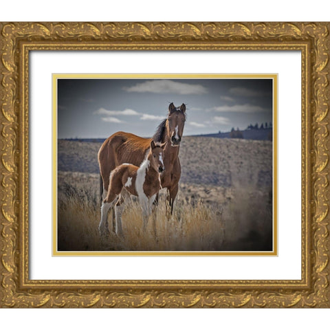 Sequoyah Colt Gold Ornate Wood Framed Art Print with Double Matting by McFerrin, Larry