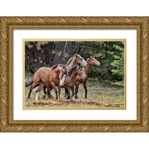 Dreamsickle, Scarbutt and Bachelors Gold Ornate Wood Framed Art Print with Double Matting by McFerrin, Larry
