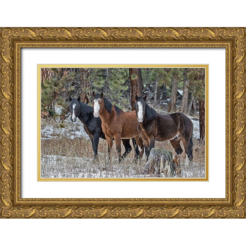 Ochoco Bachelors Gold Ornate Wood Framed Art Print with Double Matting by McFerrin, Larry