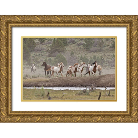 Ditto-Galileo Band Gold Ornate Wood Framed Art Print with Double Matting by McFerrin, Larry