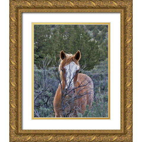 Filly - Palomino Buttes Gold Ornate Wood Framed Art Print with Double Matting by McFerrin, Larry