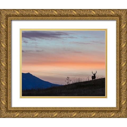 Elkscape Gold Ornate Wood Framed Art Print with Double Matting by McFerrin, Larry