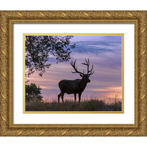 Sunrise Bull Gold Ornate Wood Framed Art Print with Double Matting by McFerrin, Larry