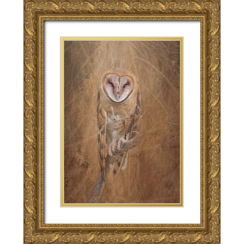 Barn Owl Gold Ornate Wood Framed Art Print with Double Matting by McFerrin, Larry