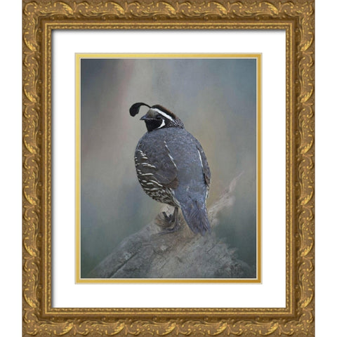 California Quail Gold Ornate Wood Framed Art Print with Double Matting by McFerrin, Larry