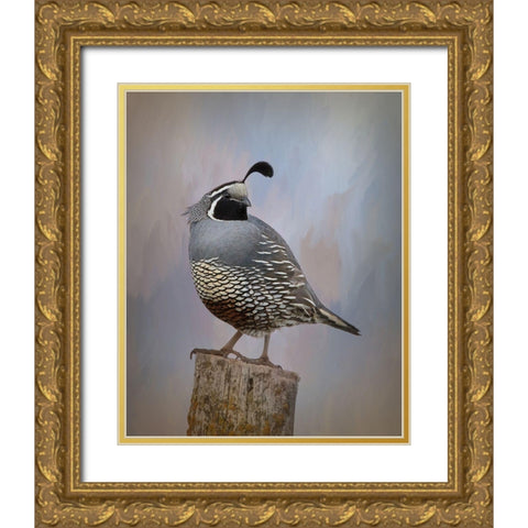 California Quail II Gold Ornate Wood Framed Art Print with Double Matting by McFerrin, Larry