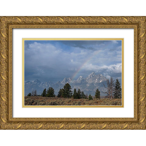 Teton Rainbow Gold Ornate Wood Framed Art Print with Double Matting by McFerrin, Larry
