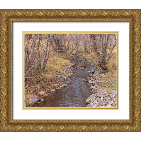 Ochoco Creek Gold Ornate Wood Framed Art Print with Double Matting by McFerrin, Larry