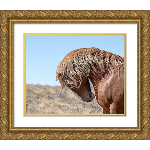 Marshall - Wild Stallion Gold Ornate Wood Framed Art Print with Double Matting by McFerrin, Larry