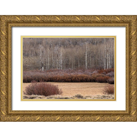 Steens Mountain Meadow Gold Ornate Wood Framed Art Print with Double Matting by McFerrin, Larry