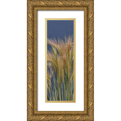 Cheat - Grass Gold Ornate Wood Framed Art Print with Double Matting by McFerrin, Larry