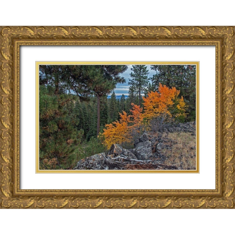 Aspen Blaze Gold Ornate Wood Framed Art Print with Double Matting by McFerrin, Larry