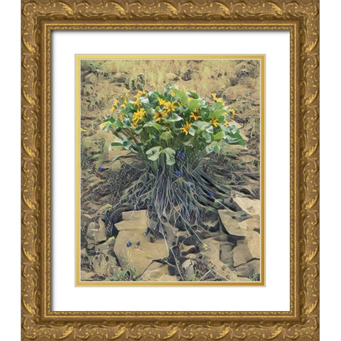 Desert Bouquet Gold Ornate Wood Framed Art Print with Double Matting by McFerrin, Larry