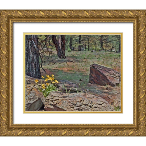 Mules Ears in Forest Gold Ornate Wood Framed Art Print with Double Matting by McFerrin, Larry