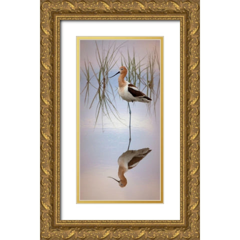 American Avocet Gold Ornate Wood Framed Art Print with Double Matting by McFerrin, Larry