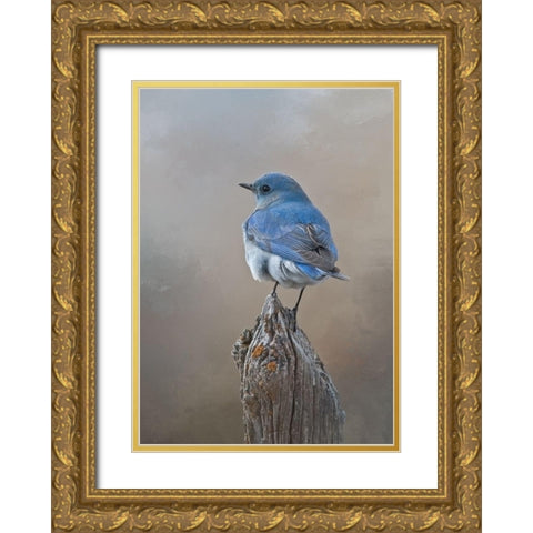 Mountain Bluebird Gold Ornate Wood Framed Art Print with Double Matting by McFerrin, Larry