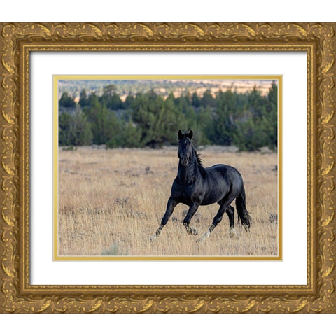 Intense Gold Ornate Wood Framed Art Print with Double Matting by McFerrin, Larry