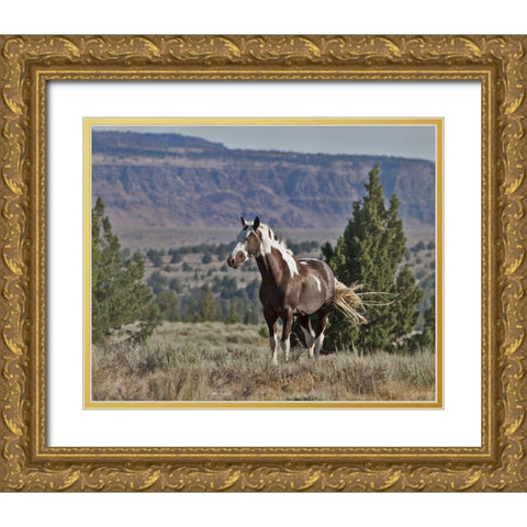 Renegade Gold Ornate Wood Framed Art Print with Double Matting by McFerrin, Larry