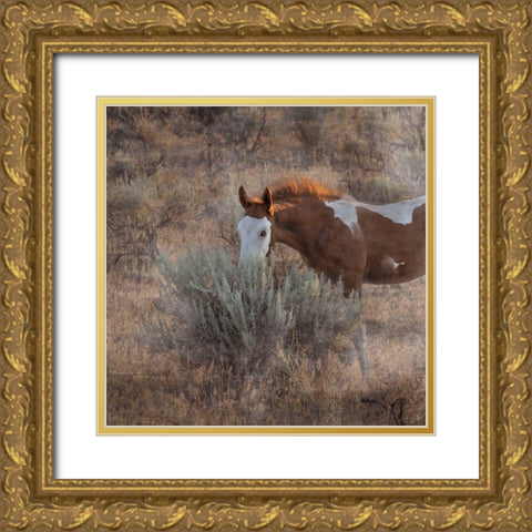 Skye Hawk Gold Ornate Wood Framed Art Print with Double Matting by McFerrin, Larry