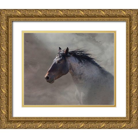 Back Country Roan Gold Ornate Wood Framed Art Print with Double Matting by McFerrin, Larry