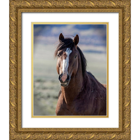 Choctaw Gold Ornate Wood Framed Art Print with Double Matting by McFerrin, Larry