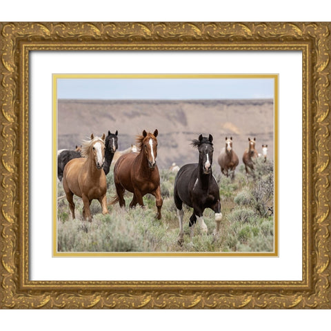 Macawls 2017 Gold Ornate Wood Framed Art Print with Double Matting by McFerrin, Larry