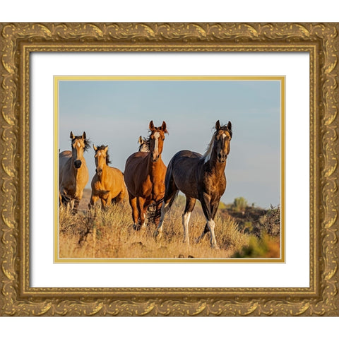 South Steens Mustangs Gold Ornate Wood Framed Art Print with Double Matting by McFerrin, Larry