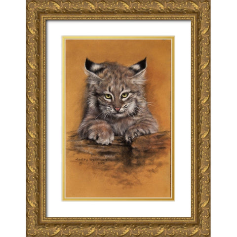 Bobcat Gold Ornate Wood Framed Art Print with Double Matting by Harrison, Lesley