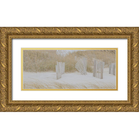 Soft Beach Dune Gold Ornate Wood Framed Art Print with Double Matting by Lee, Judson