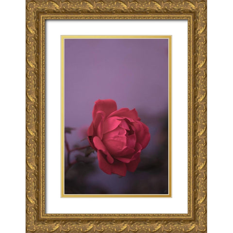 Pinky Rose Gold Ornate Wood Framed Art Print with Double Matting by Lee, Judson