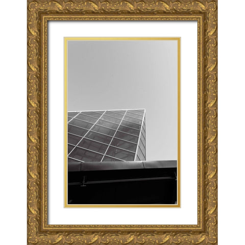 Look Tall II Gold Ornate Wood Framed Art Print with Double Matting by Lee, Judson