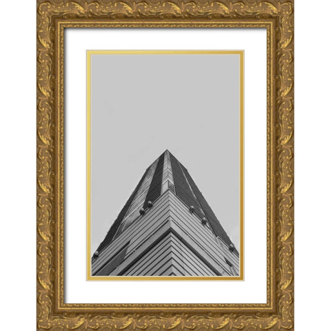 Look Tall IV Gold Ornate Wood Framed Art Print with Double Matting by Lee, Judson